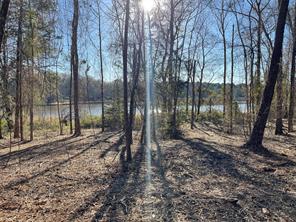 TBD Lot 3 County Road 2200 - Photo 29