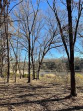 TBD Lot 3 County Road 2200 - Photo 30