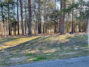 TBD Lot 3 County Road 2200 - Photo 32