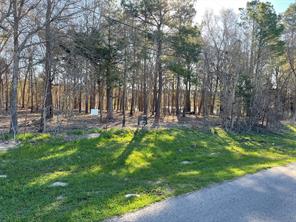 TBD Lot 3 County Road 2200 - Photo 33