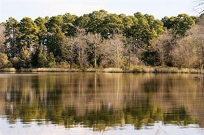 TBD Lot 3 County Road 2200 - Photo 6