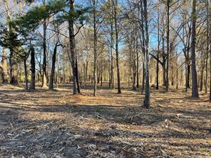 TBD Lot 3 County Road 2200 - Photo 7