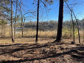 TBD Lot 3 County Road 2200 - Photo 8