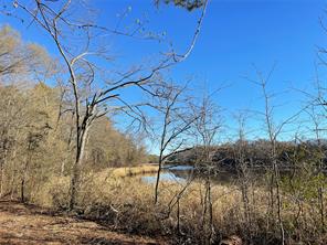 TBD Lot 3 County Road 2200 - Photo 9
