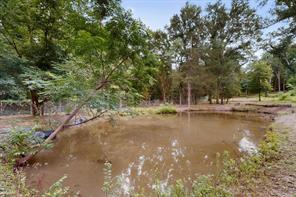 10823 Lakeview Trail - Photo 38