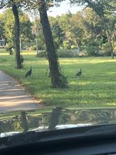 TBD Waterworks Road - Photo 16