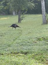 TBD Waterworks Road - Photo 6