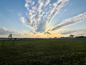 12262 Fm 1384 - Photo 9