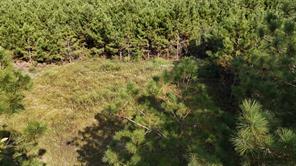 TBD County Road 3121 - Photo 1