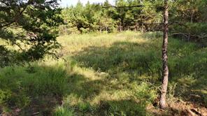 TBD County Road 3121 - Photo 2