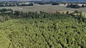 TBD County Road 3121 - Photo 6