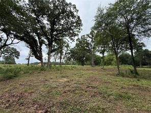 210 Livingston Street - Photo 3