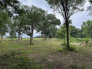 210 Livingston Street - Photo 4