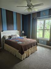 3851 County Road 156 Road - Photo 17