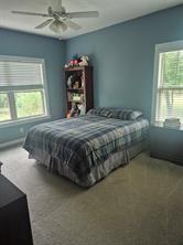 3851 County Road 156 Road - Photo 18
