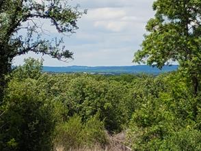3851 County Road 156 Road - Photo 35