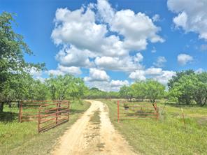 3851 County Road 156 Road - Photo 37