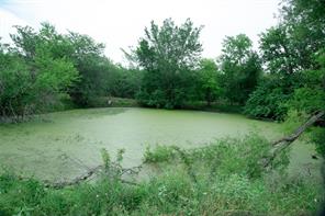 5997 County Road 3214 - Photo 9