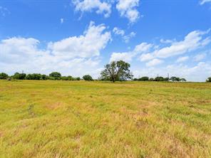 Lot 14 County Road 1346 - Photo 4
