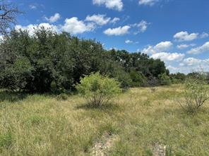 000 Tract 19, 165 County Road - Photo 3