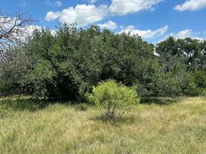 000 Tract 19, 165 County Road - Photo 4