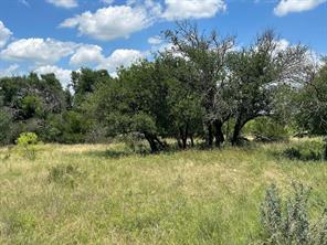 000 Tract 19, 165 County Road - Photo 7