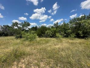 000 Tract 19, 165 County Road - Photo 8