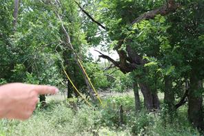 000 County Road 282 - Photo 1