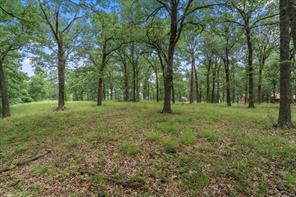 78 & 79 Tall Oaks Drive - Photo 1