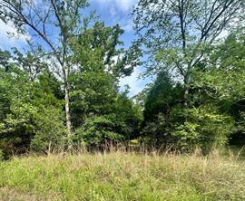 lot 2111 Butch Cassidy Drive - Photo 1