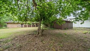 223 Graham Street - Photo 26