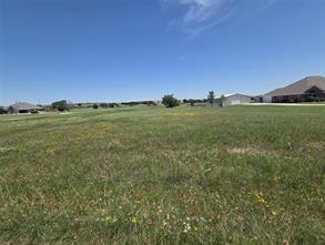 TBD Savanna Drive - Photo 2