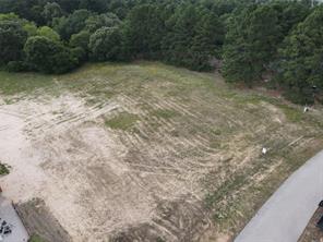TBD Palomino Court - Photo 2