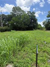 1151 Freeman Street - Photo 1