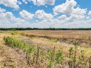TBD St Hwy 22 - Photo 9