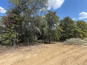 277 Zebrastone Way - Photo 18