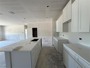 281 Zebrastone Way - Photo 15
