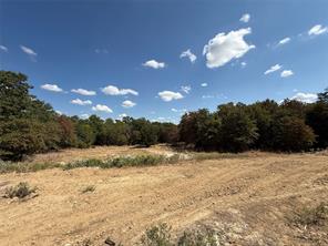 281 Zebrastone Way - Photo 26