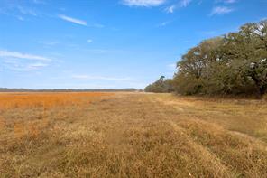 TBD County Road 2526 - Photo 12