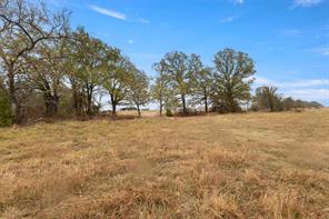 TBD County Road 2526 - Photo 13