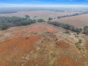 TBD County Road 2526 - Photo 6