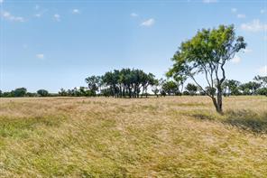 TBD 78 Cavalier Road - Photo 7