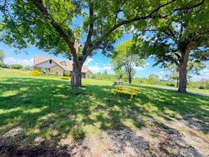 2621 Fm 1827 - Photo 7