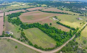 TBD FM 2136 Road - Photo 1