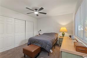 5523 Safari Trail - Photo 19