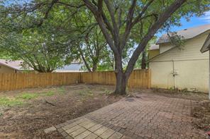 5523 Safari Trail - Photo 21