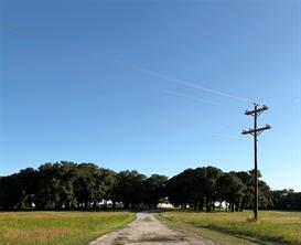 1306 Mcdaniel Street - Photo 8