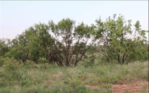 300 County Road 232 - Photo 1