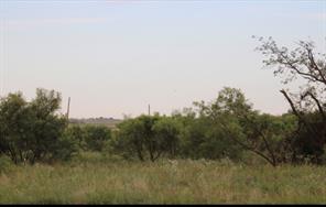 300 County Road 232 - Photo 2