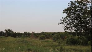 300 County Road 232 - Photo 3